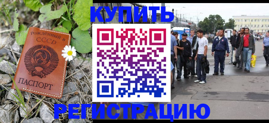 прописка гарантия в Александровске